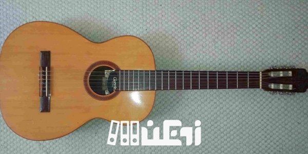 انواع گیتار