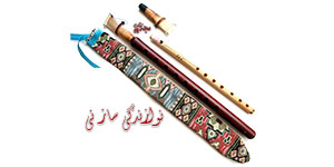 نکات مهم درباره ساز نی