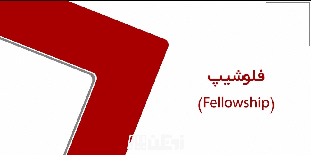 فلوشیپ چیست؟