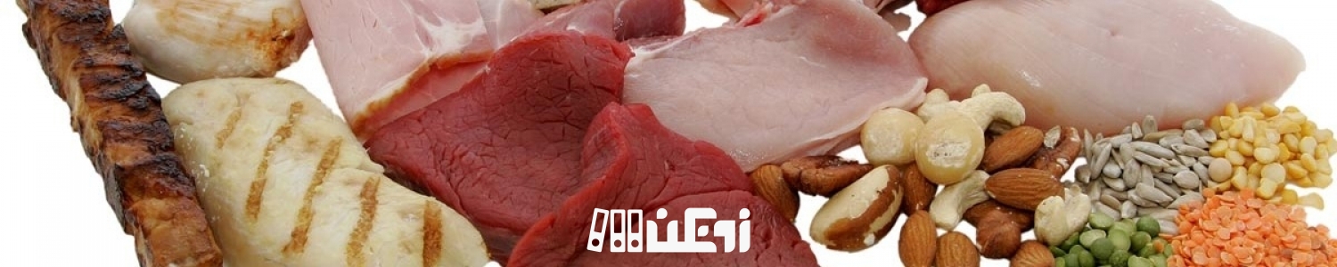 لیست غذاهای پروتئین دار برای بدنسازی