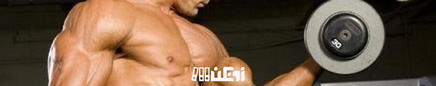 تعداد ورزشکاران رشته ورزشی بدنسازی در کشور افزایش یافت