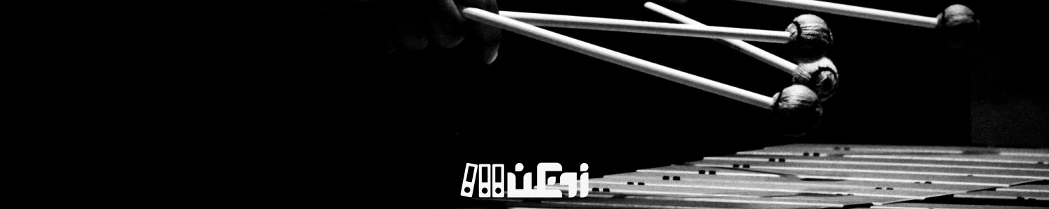 معرفی چند ساز خاص