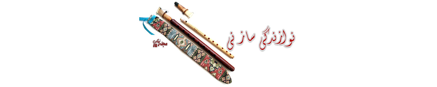 نکات مهم درباره ساز نی