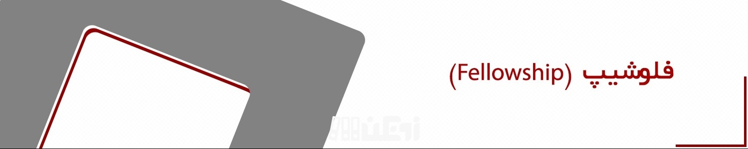 فلوشیپ چیست؟